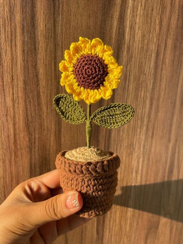 Sunflower pot