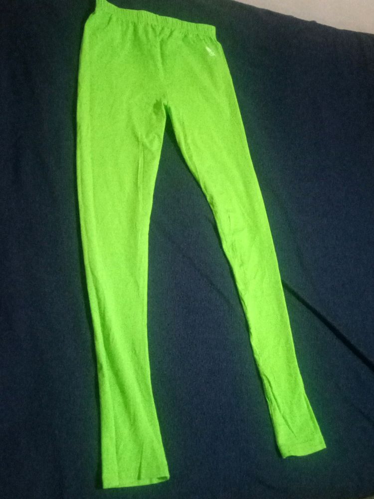 Light Green Leggings