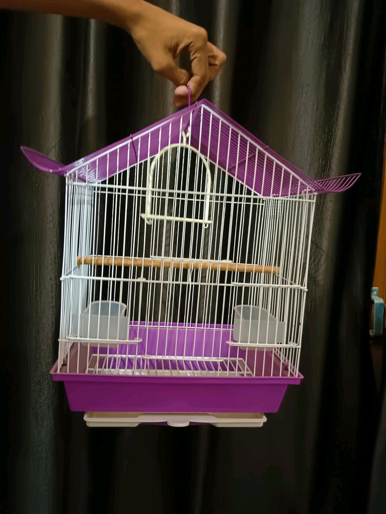 Bird Cage New