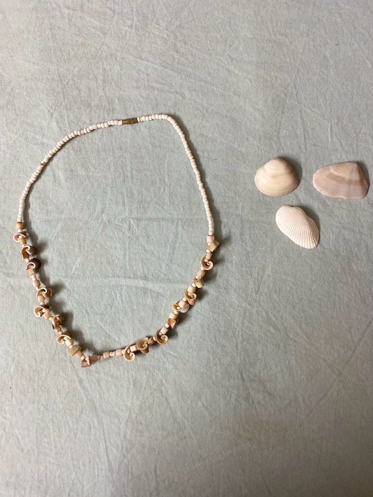 seashell necklace