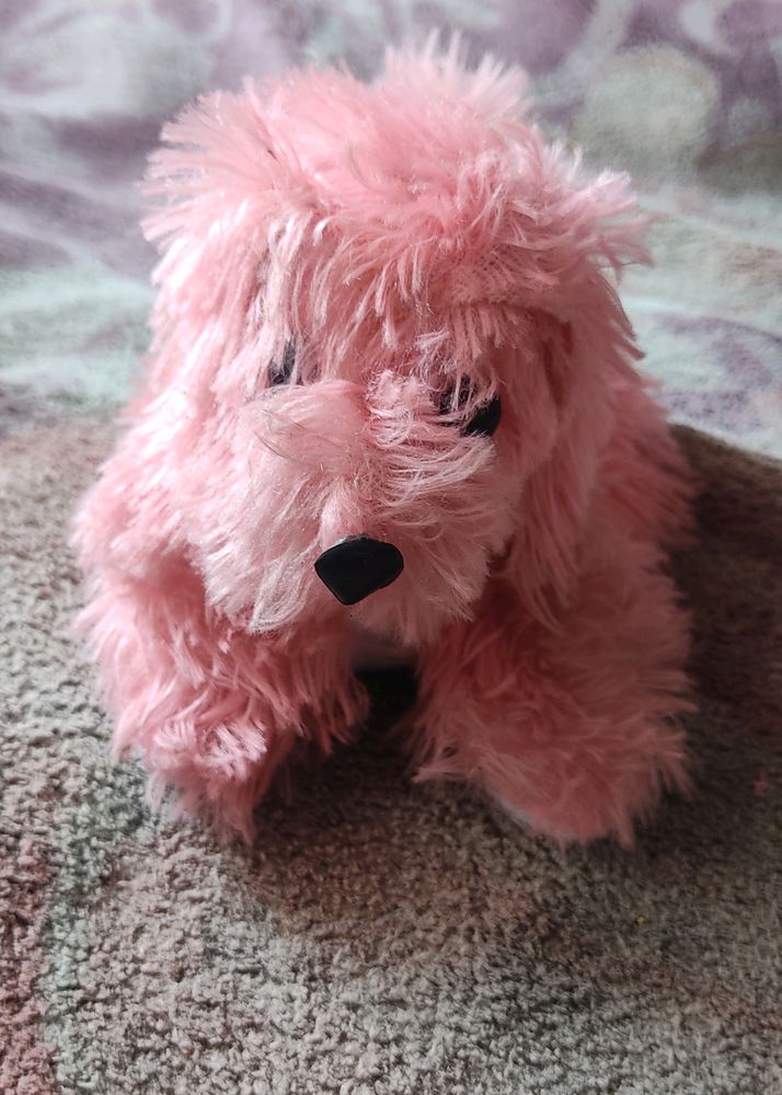 Dog ( Maltese Shih Tzu ) Cute Soft Toy.