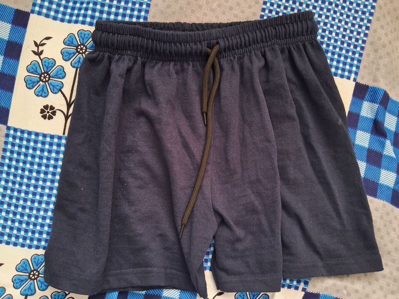 Solid Women Blue Regular Shorts