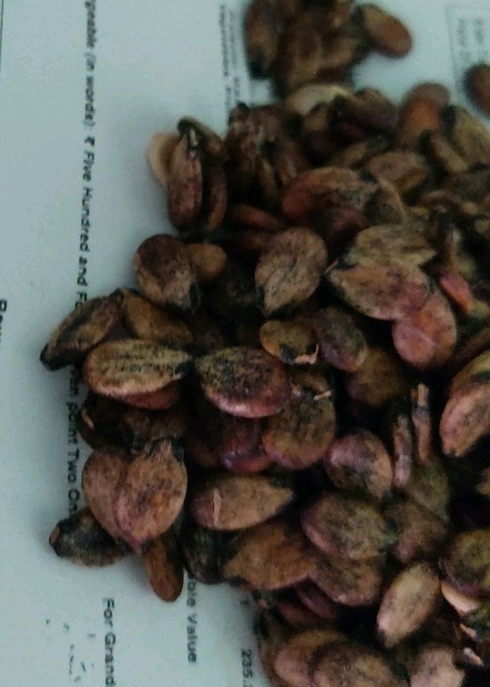 Watermelon Seeds