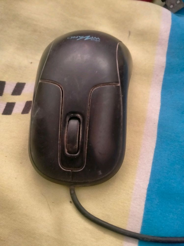 mouse