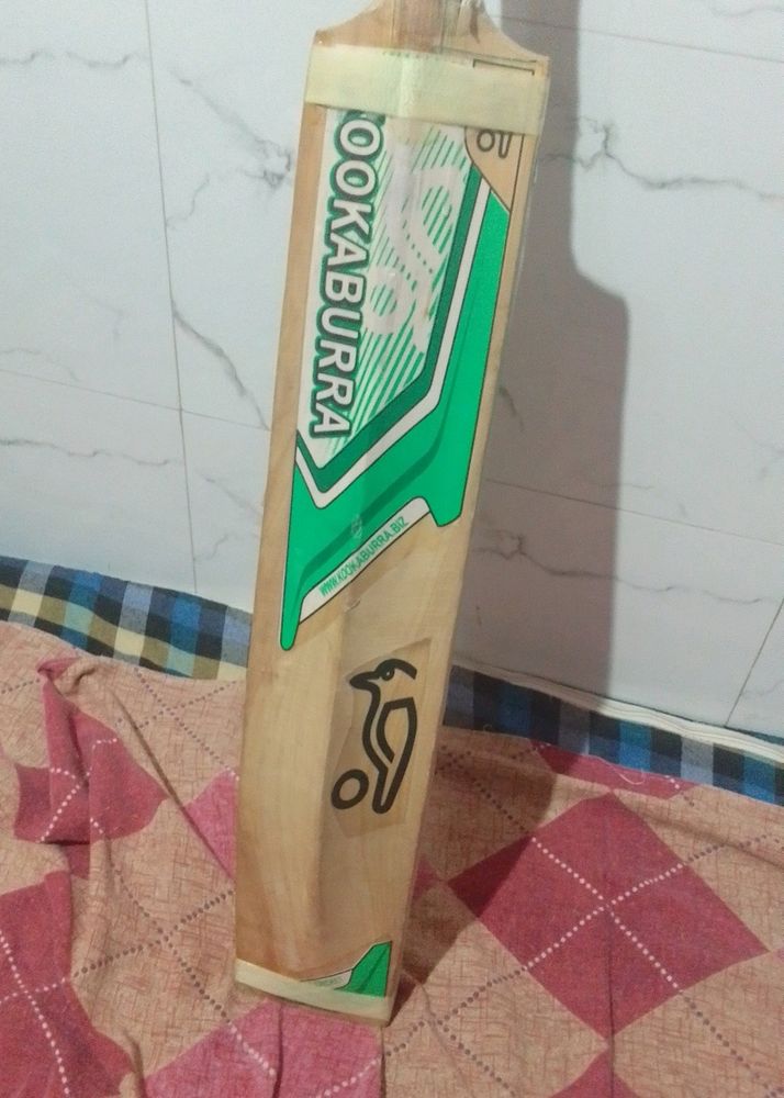 Kookaburra Kashmir Willow Cricket Bat