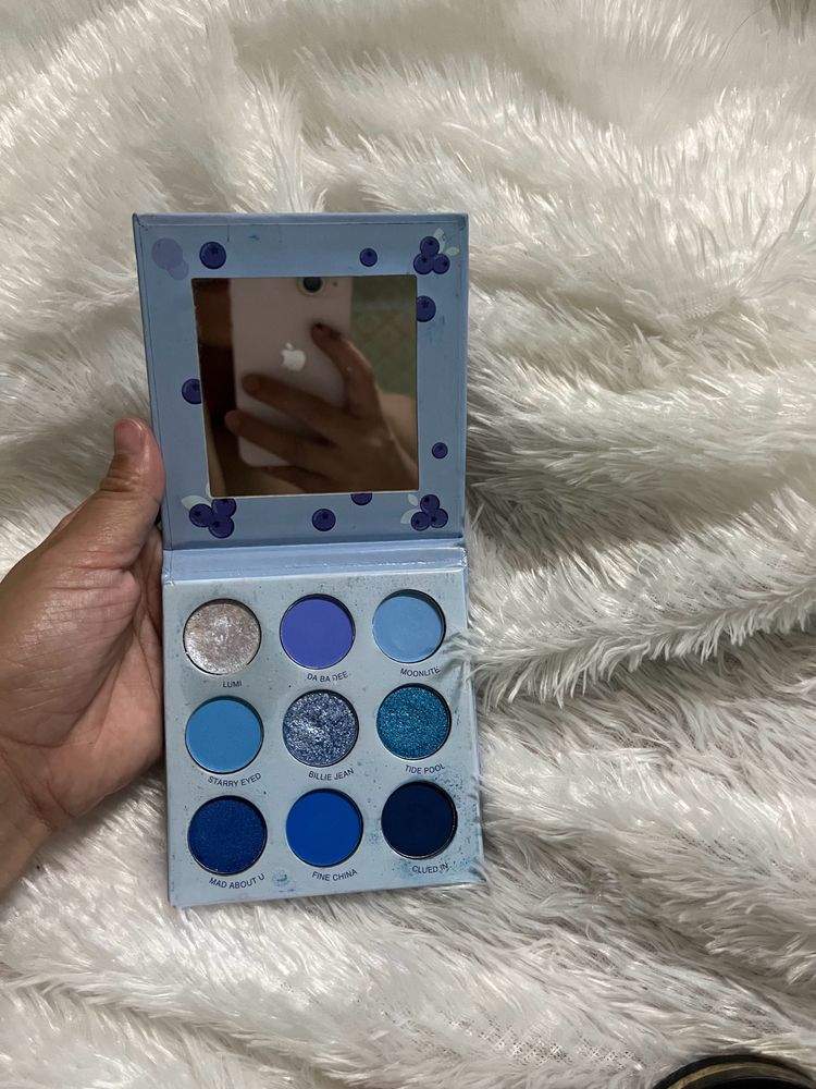 Blueberry Eye Shadow Palette 💙