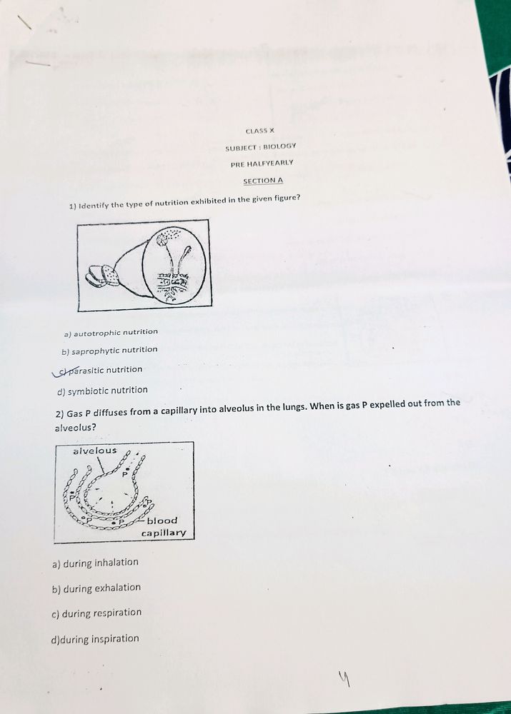 BIOLOGY GRADE 10 PRACTICE PAPER