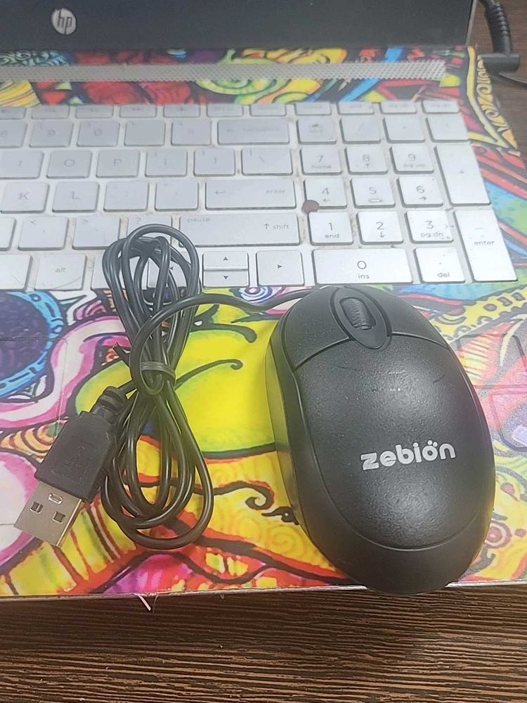 Mouse New