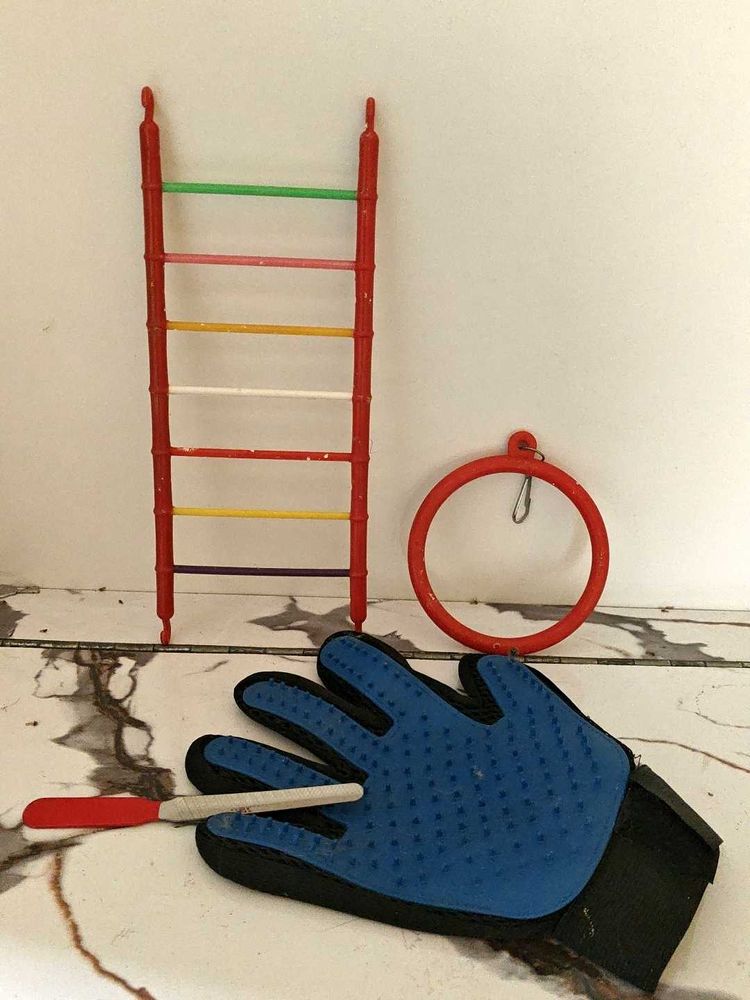 Cat Glove And Nail filar ,, Budgies Caze Accessor