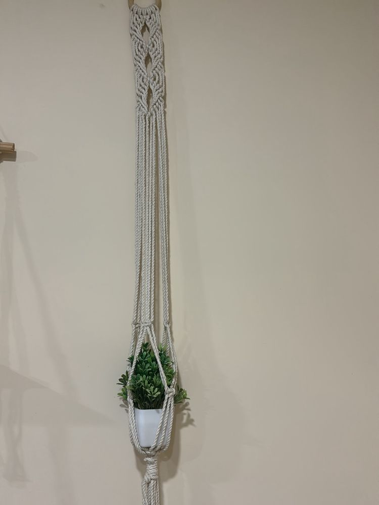 Plant Holder