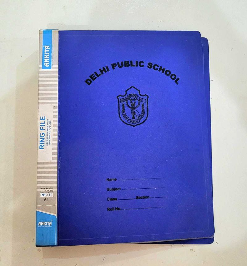 DPS Plastic Folder File For A4 Size Papers