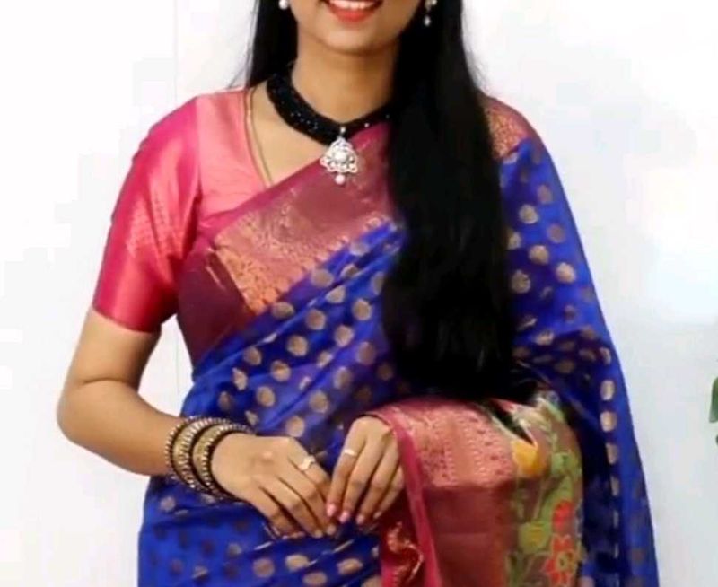 Brand New Benarasi Festival Saree