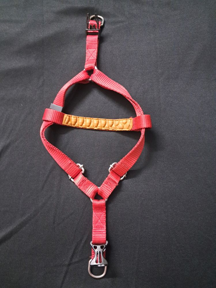 Small To Medium Size Dog Body Belt