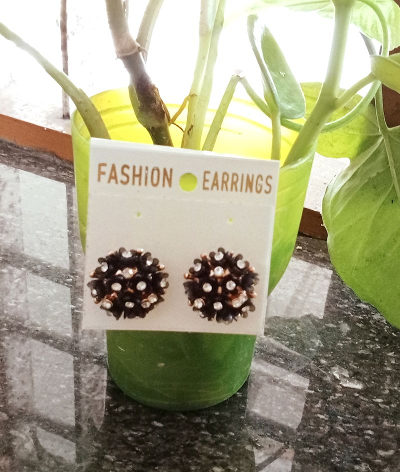 Women Stud Earrings