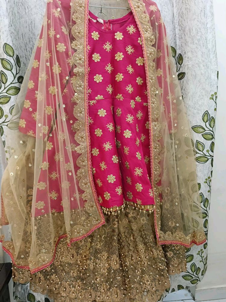 Lehenga Choli Set