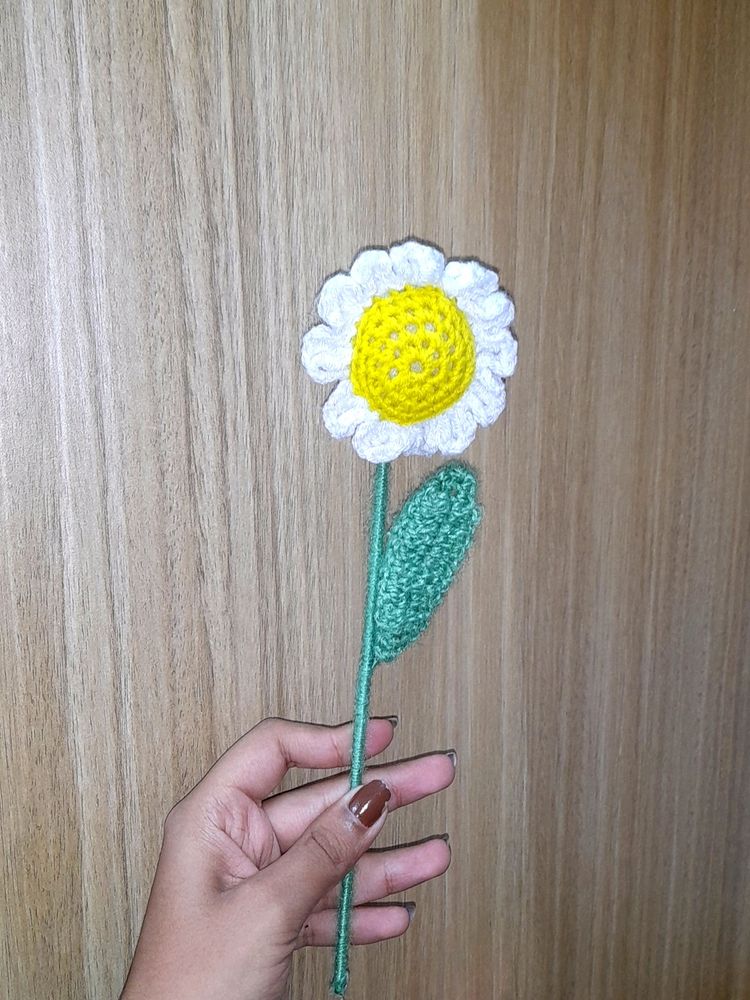 Crochet Daisy🌼