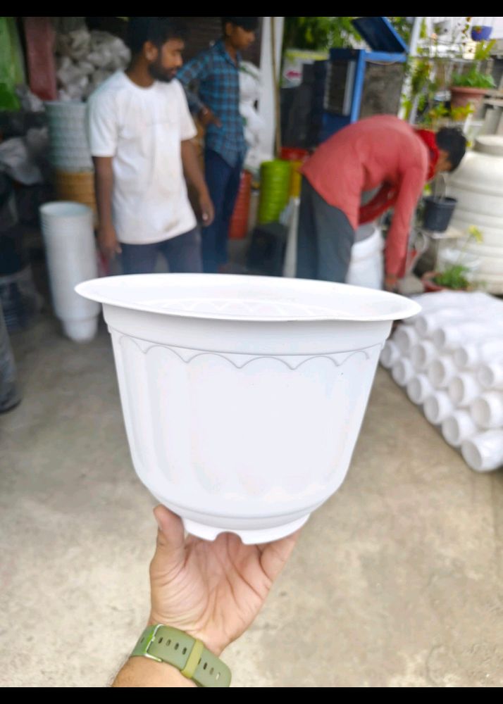 Jasmine Planting Pot (gamla)