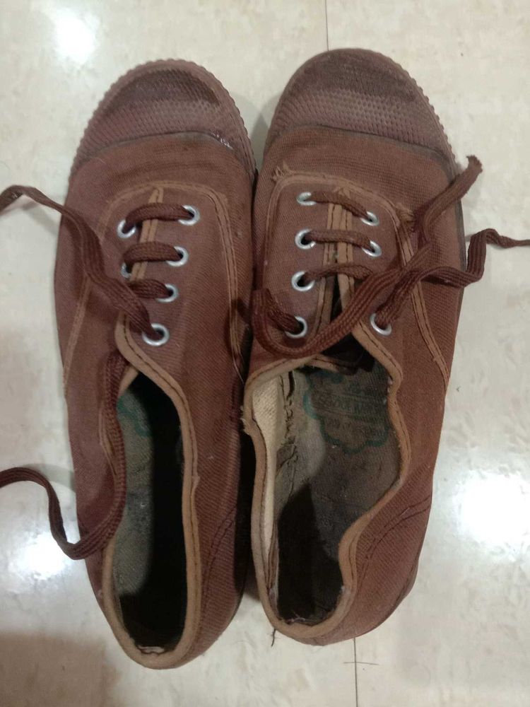 Brown Canvas Shoes