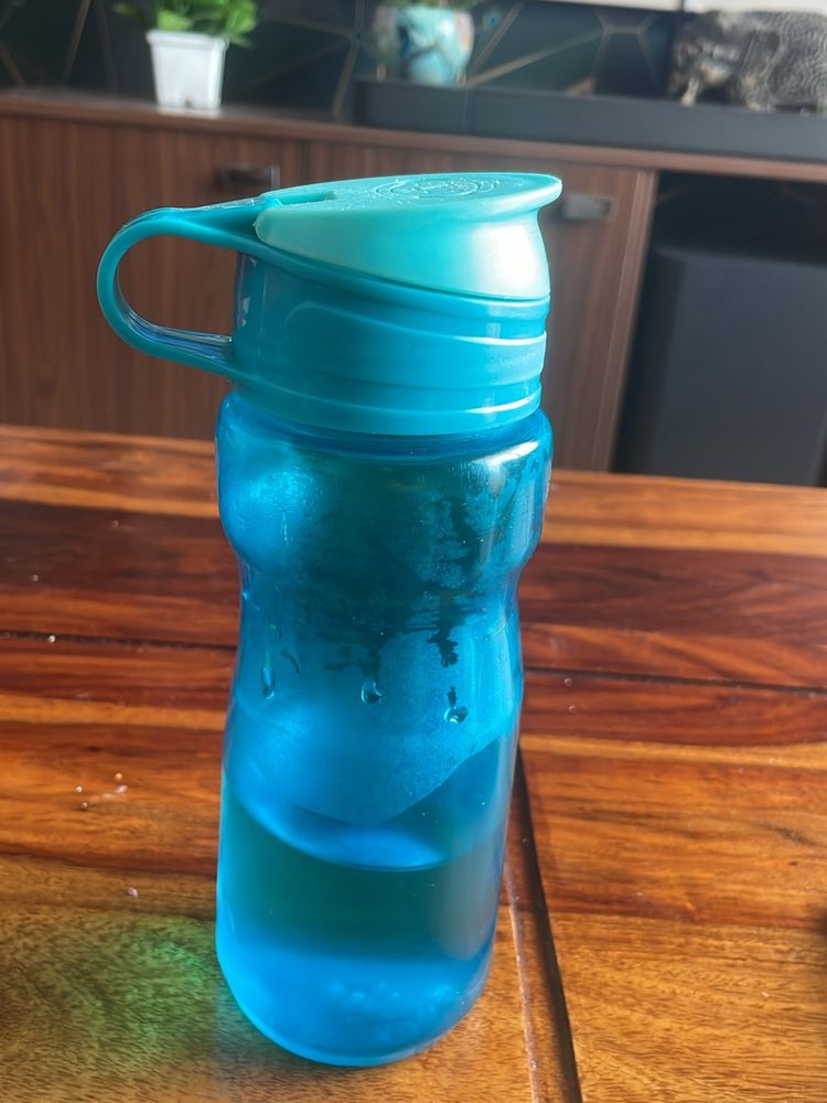 Hard Plastic Kids Water Bottle