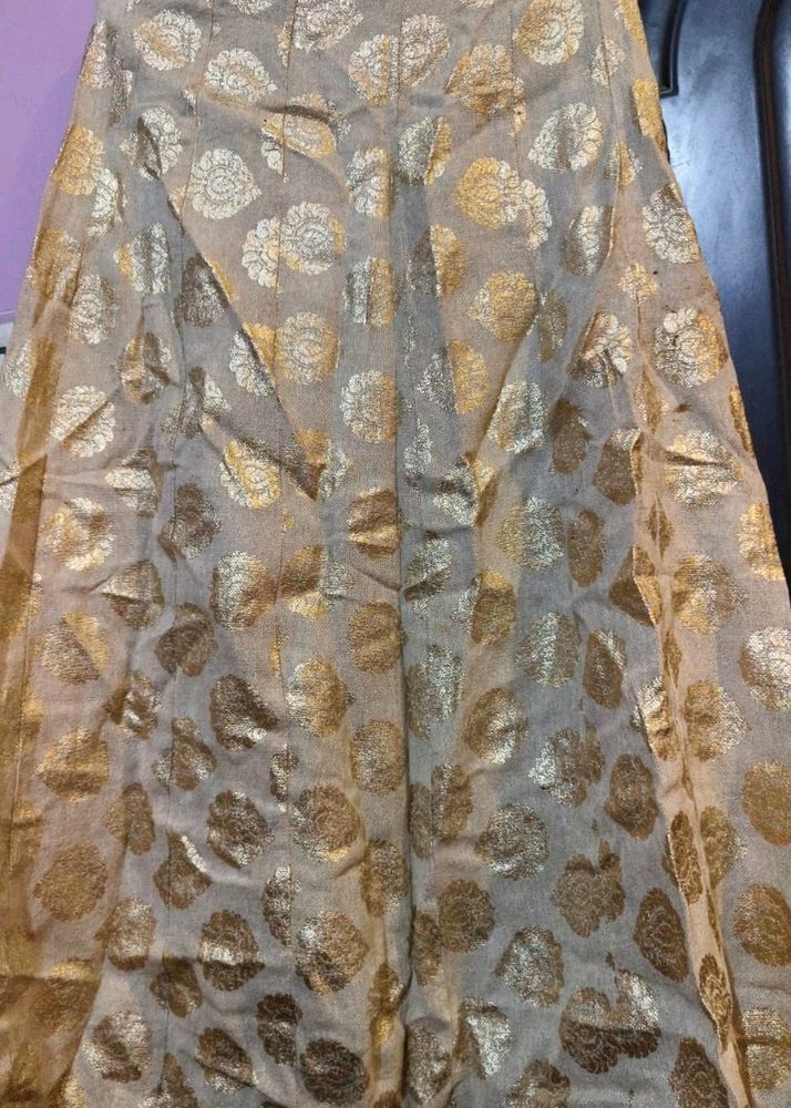 Golden Skirt With Beautiful Printed Work