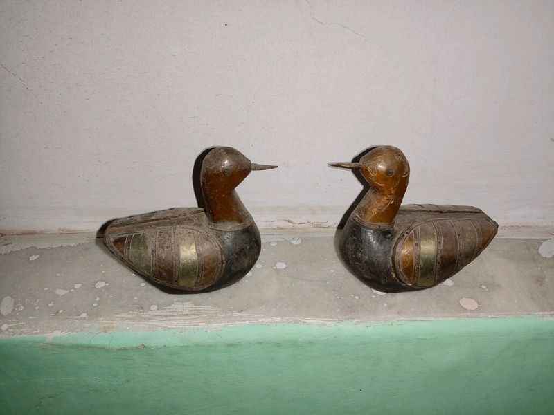 Two Ducks