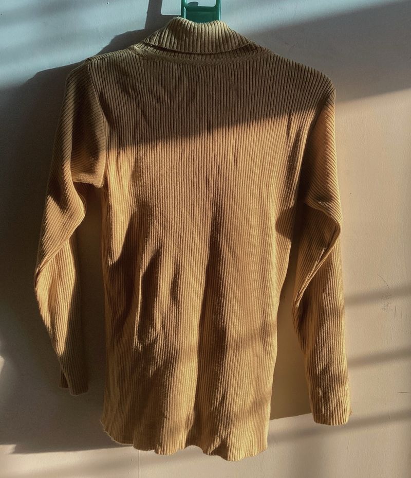 Mustard Brown Turtle Neck