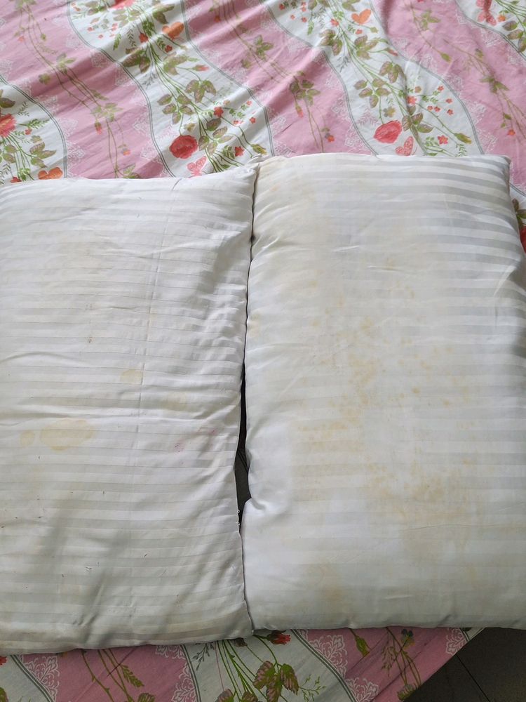 2pc Bombay Dyeing Ortho Pillow.