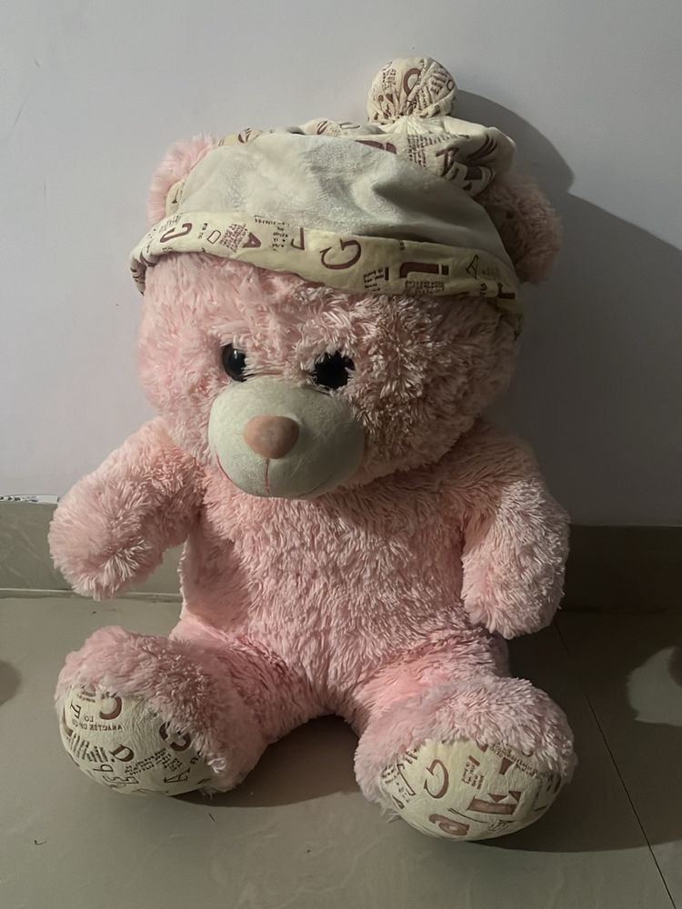 Pink Colour Teddy Bear