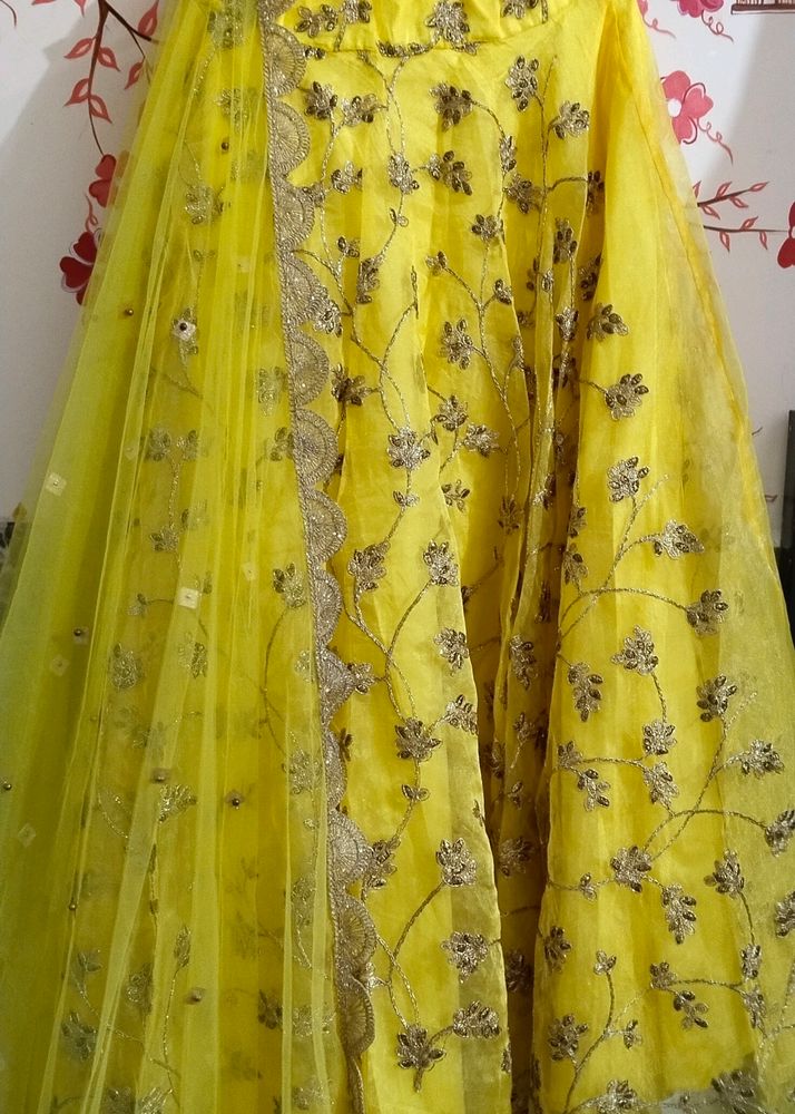 Bride Lahenga Choli With Dupatta