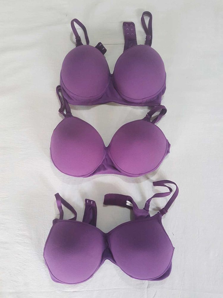 New Arrival: Premium Padded Bras in Size 36