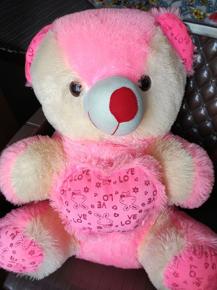 Soft Toy Teddy Bear