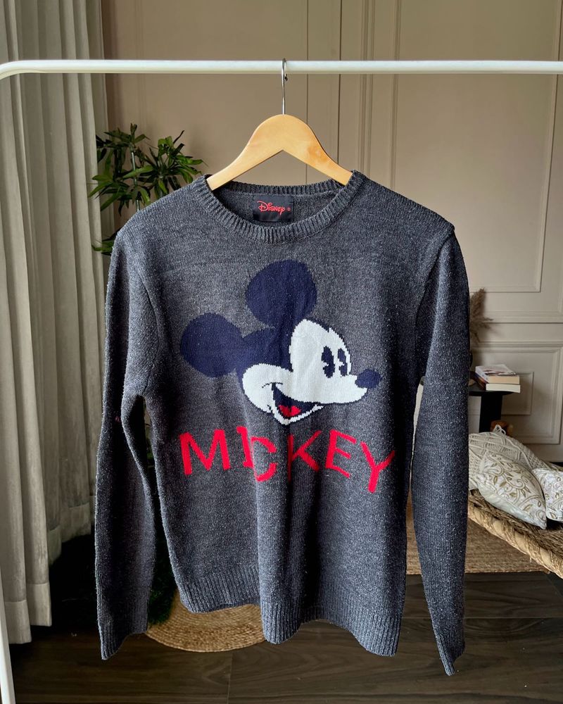 Disney Jumper / Pullover