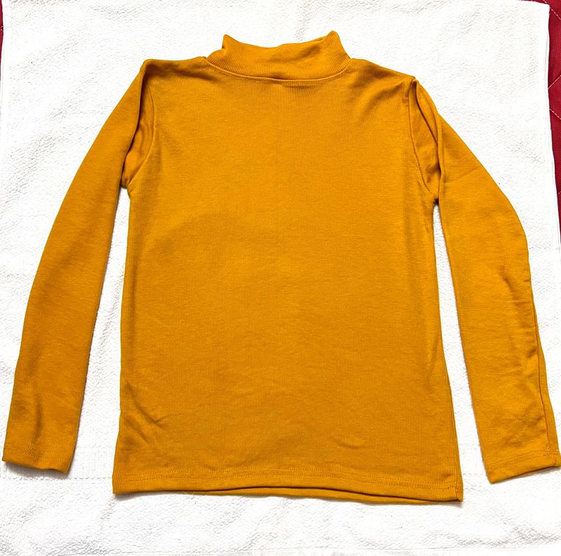 New High Neck Mustard Top