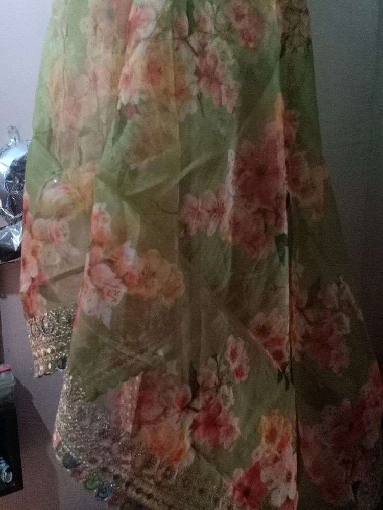 Organza Dupatta