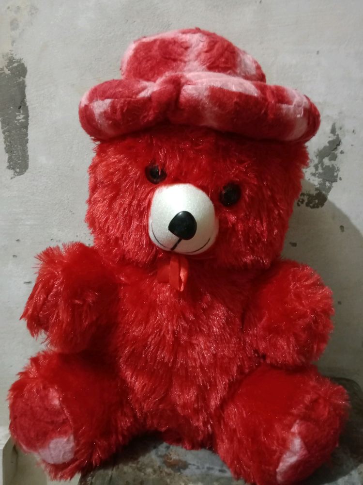 Teddy