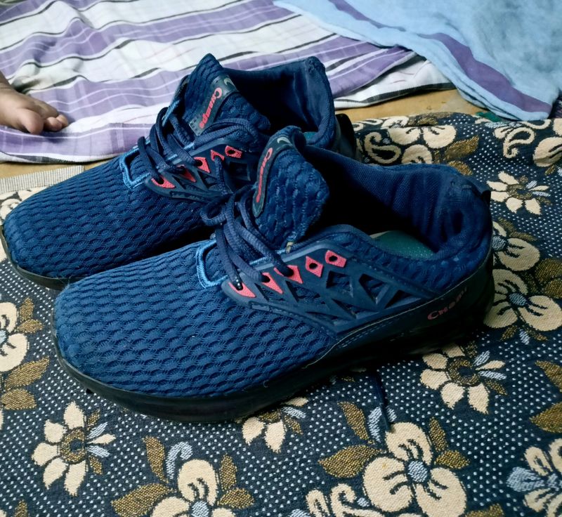 Champs brnded shoes size-8 luk gud