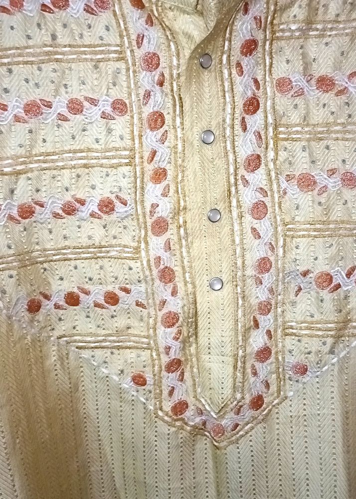 Embroidery Work Panjabi With Expensive Button