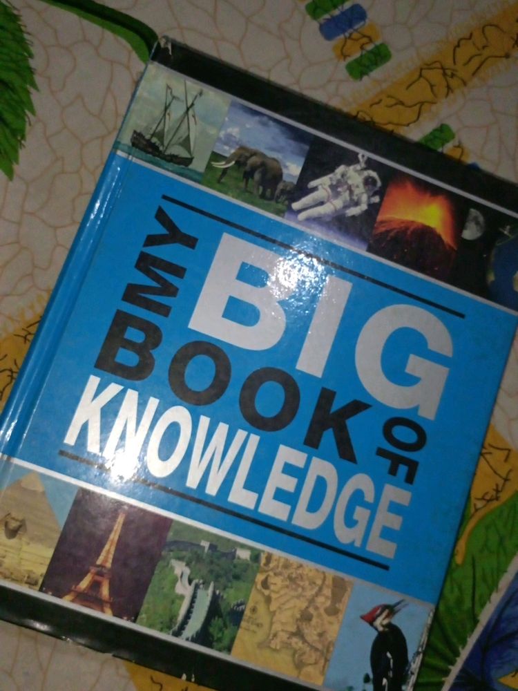 BIG KNOWLEDGE BOOK