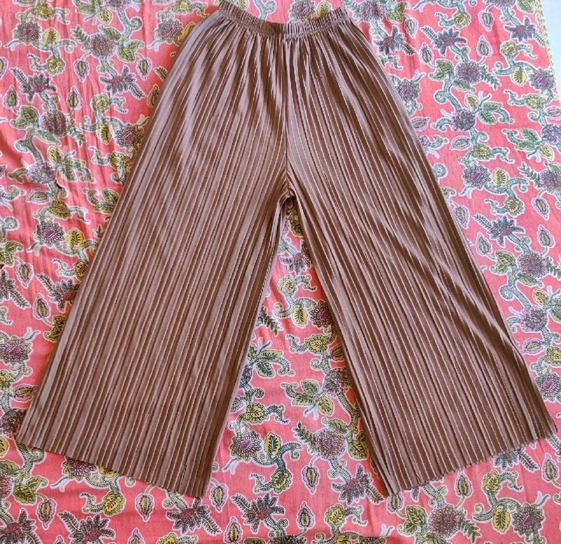 Brown Pant