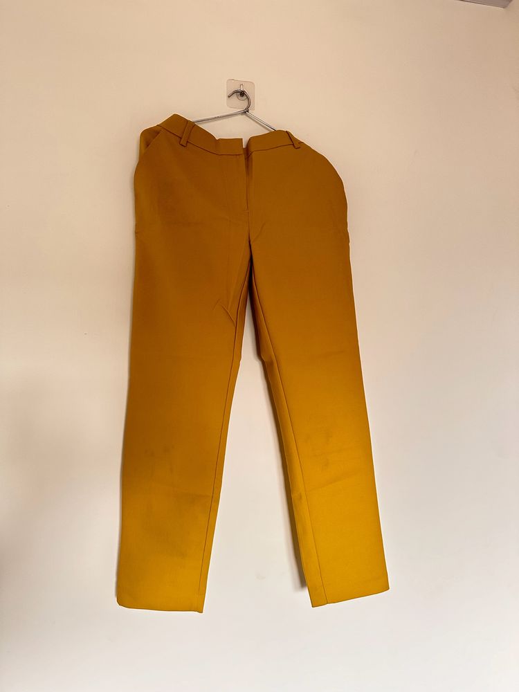 Mustard Yellow Formal Trousers