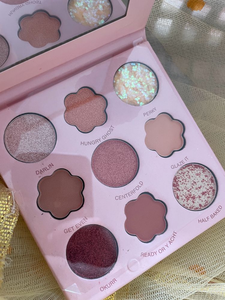 Eyeshadow Pallete With Mirror (Never Used)