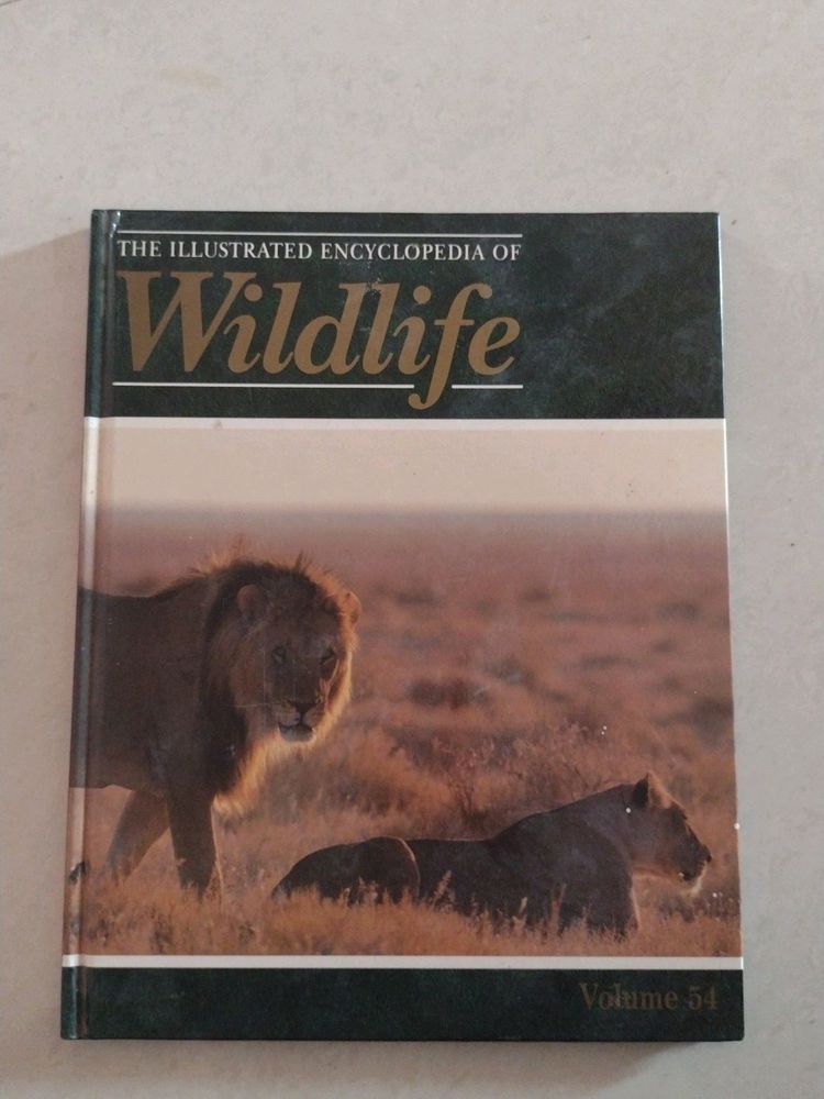 Encyclopedia Of Wildlife