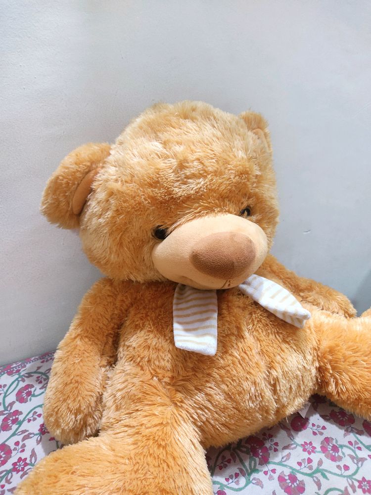 Cute Teddy - Giant Baby 🧸