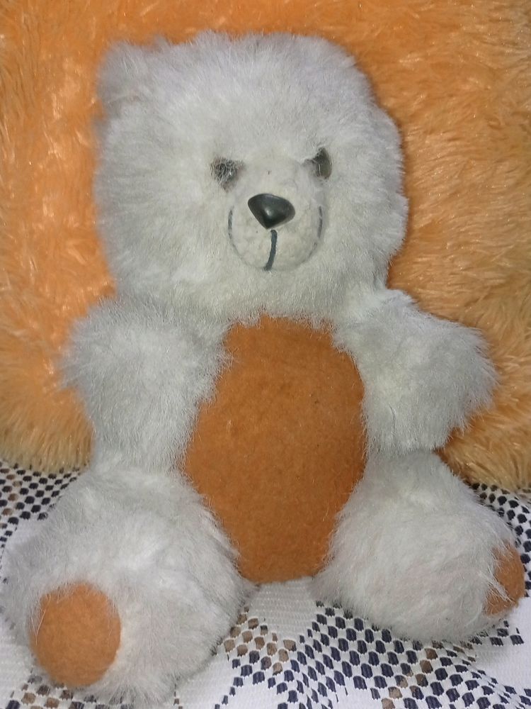 Teddy Bear Brown And White