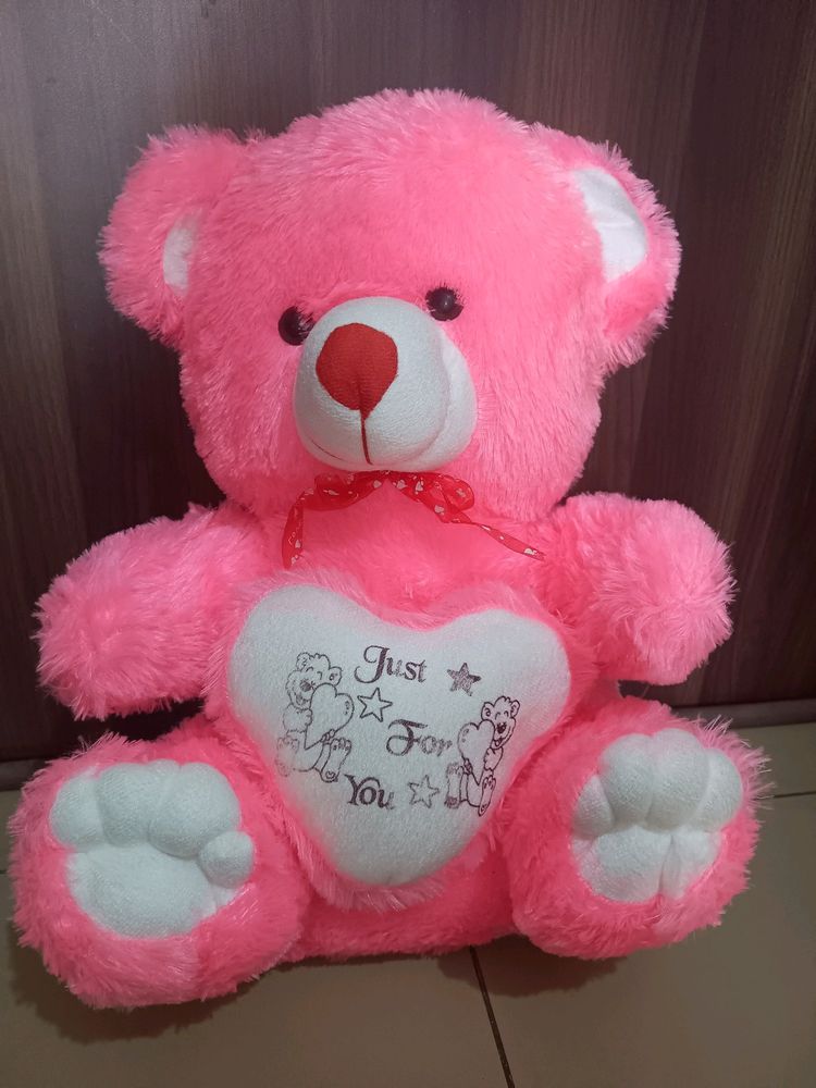 Pink 🩷 Super Soft Teddy