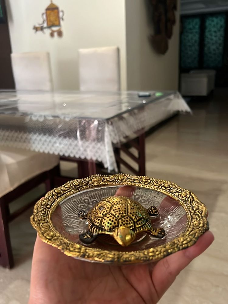 Turtle For Vastu