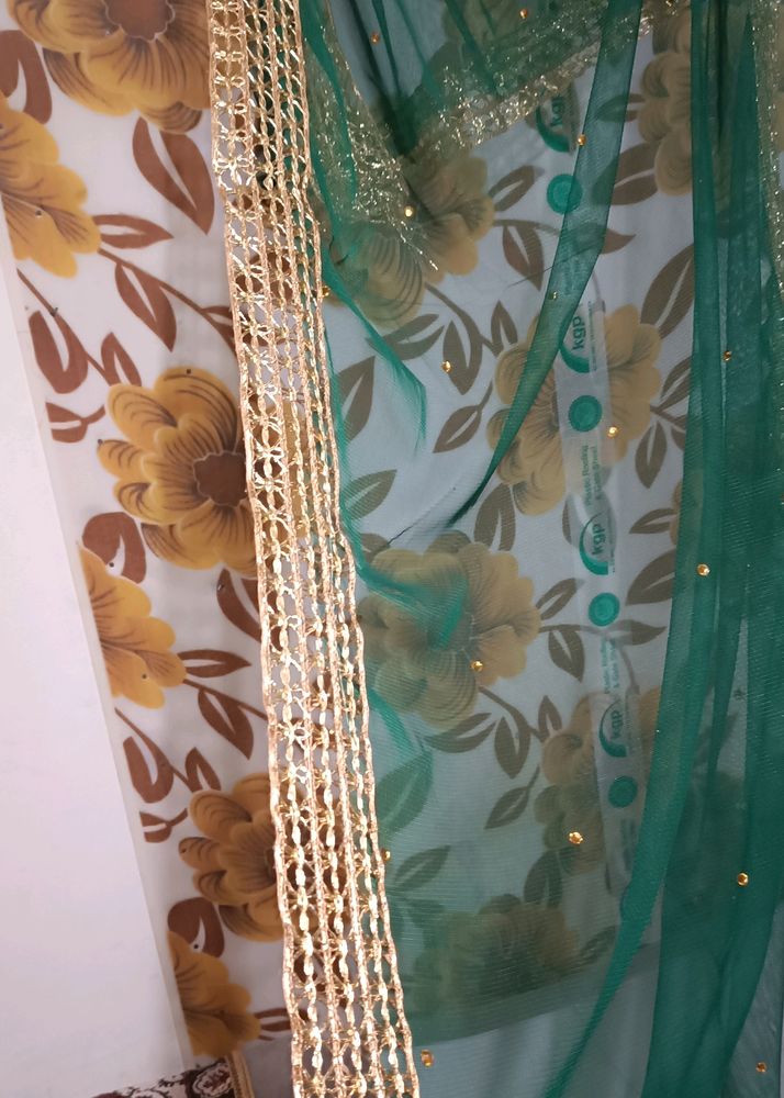 Green Beautiful Net Duppatta