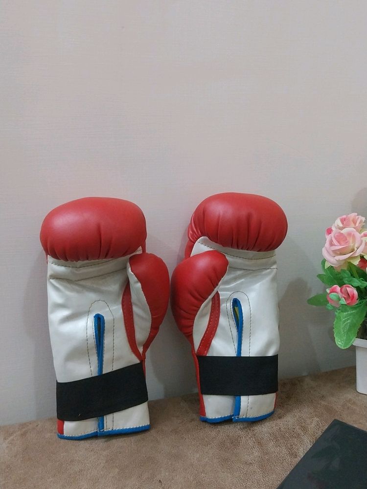 Boxing Gloves For Men & Women