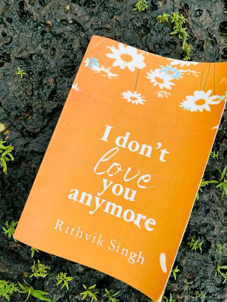 I Don't love You Anymore Book