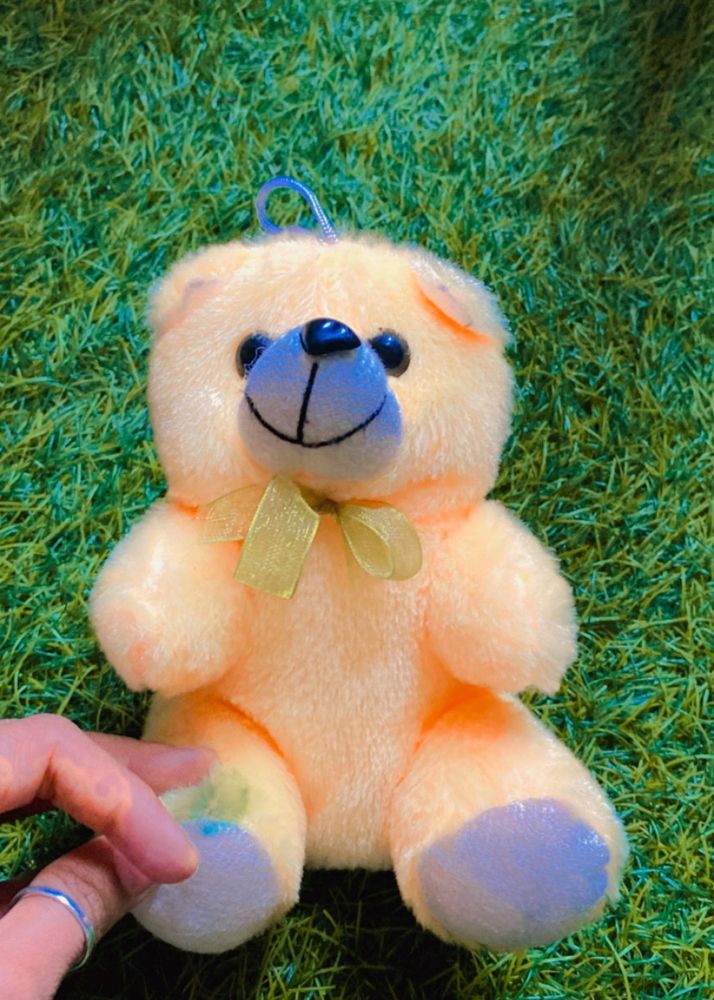 New Taddy Bear Soft Toy